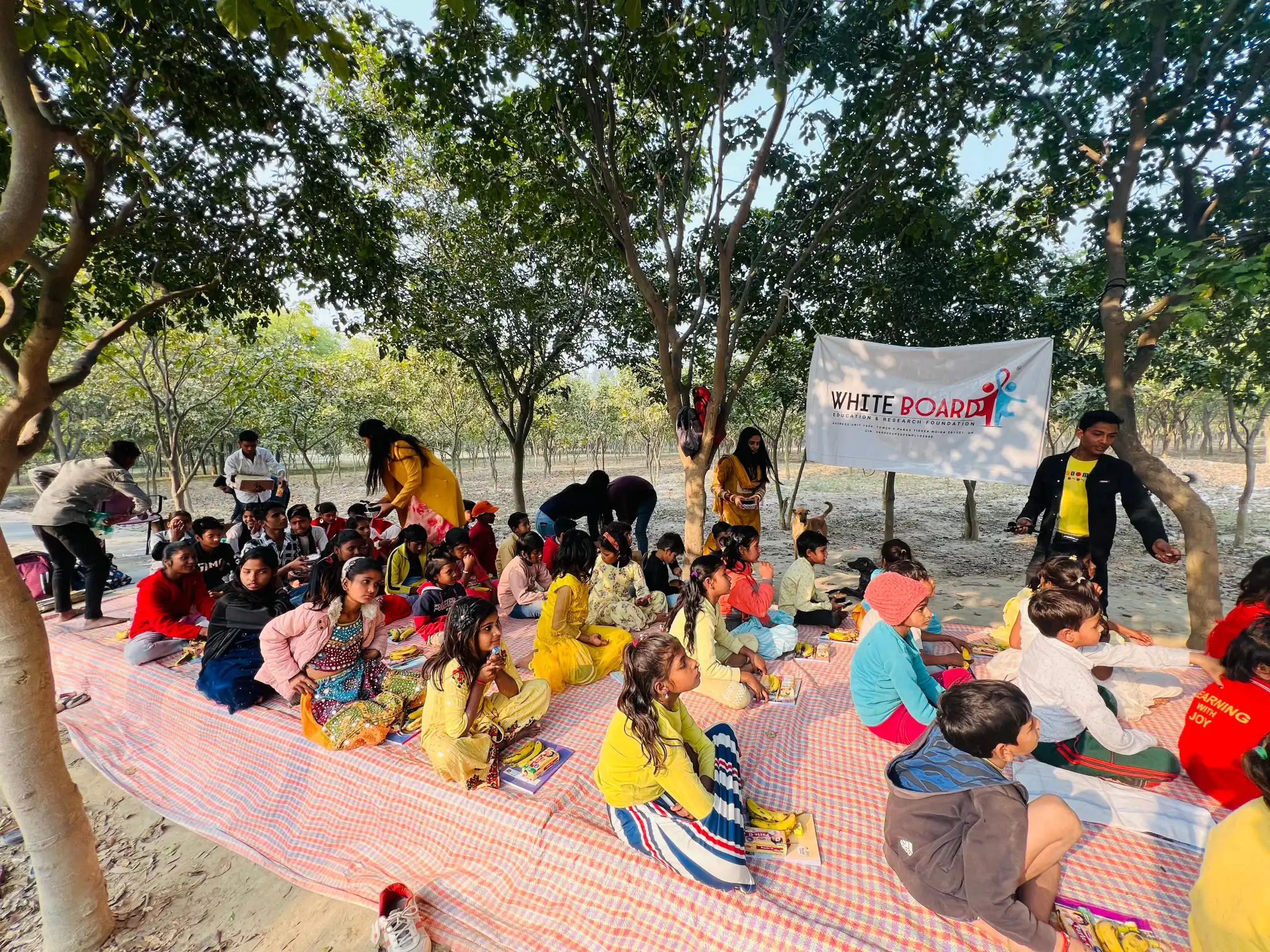 Whiteboard Foundation 2024-02-14 at 5.31.26 PM (1)